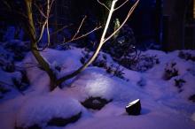 Když mrzne až praští, v záři našich reflektorů se vše blyští - osvětlení zahrady v zimě