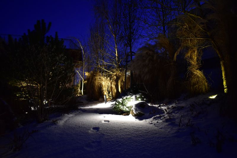 Osvětlená zahrada v zimě 