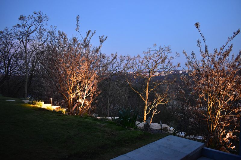 Osvětlení stromů a keřů v zahradě, zahradní reflektor Castor Lightpro 