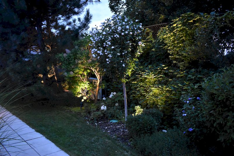 Osvětlení zahrady bezpečně a úsporně 