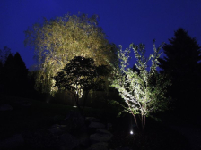 Osvětlené stromy zahradním reflektorem Arcus 
