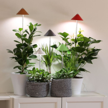 Osvětlení pokojových rostlin lampička Sunlite 