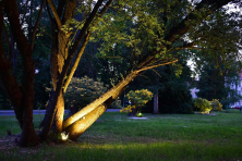 Osvětlení stromů v parku u hotelu Pawlik 