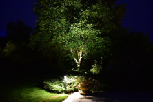 Osvětlení stromu v zahradě zahradní reflektor Castor Lightpro 