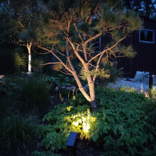 Solární zahradní reflektor dekorativní osvětlení 