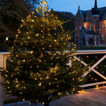 Time-Line řetěz k osvětlení vánočního stromku 