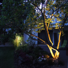 Zahradní osvětlení stromu u terasy 