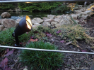 Zahradní reflektor Focus + LED 
